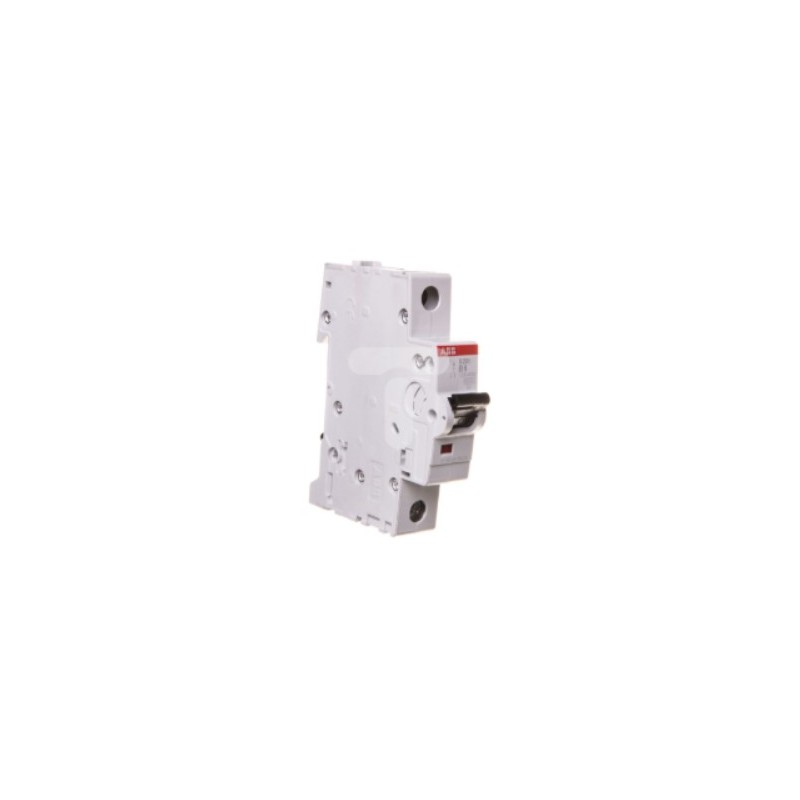 ABB-2CDS251001R0065 – WYŁĄCZNIK NADPRĄDOWY S201 1P 6A B