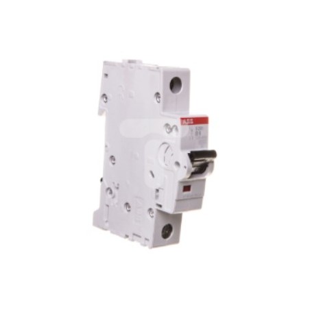 ABB-2CDS251001R0065 – WYŁĄCZNIK NADPRĄDOWY S201 1P 6A B